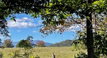 TIGER VALLEY RD, WASHINGTON, Virginia 22747, ,Land,For sale,TIGER VALLEY RD,VARP2002288 MLS # VARP2002288