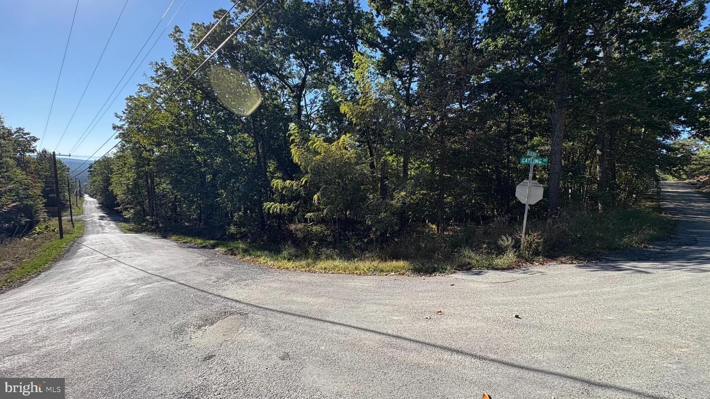 LOT 15, 16, 17, 18 GATLING DR, WINCHESTER, Virginia 22602, ,Land,For sale,LOT 15, 16, 17, 18 GATLING DR,VAFV2037284 MLS # VAFV2037284