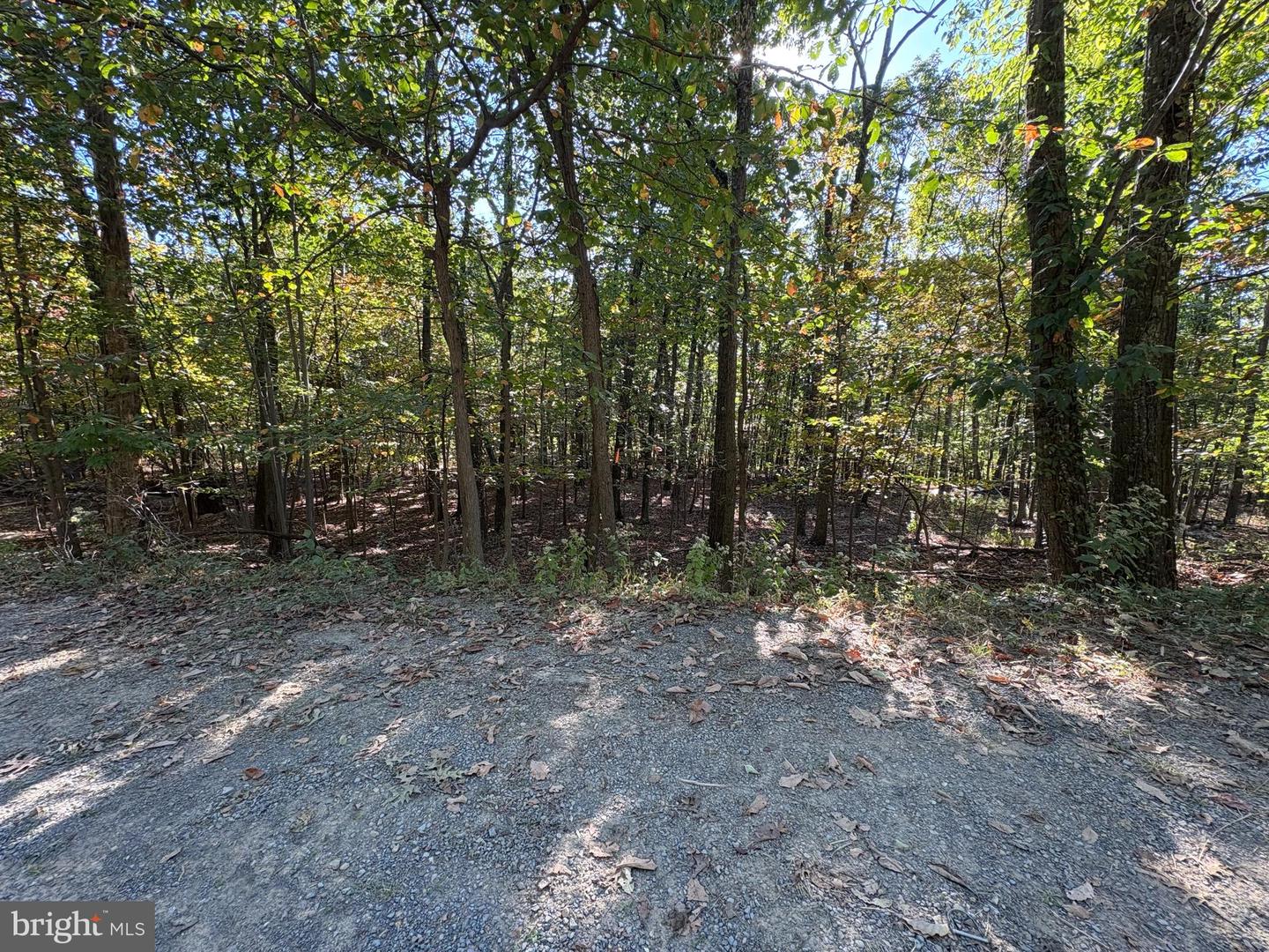 LOT 15, 16, 17, 18 GATLING DR, WINCHESTER, Virginia 22602, ,Land,For sale,LOT 15, 16, 17, 18 GATLING DR,VAFV2037284 MLS # VAFV2037284