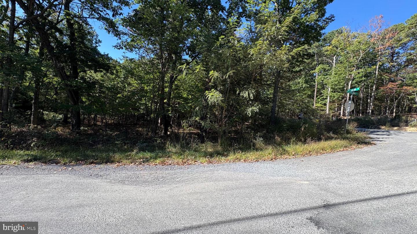 LOT 15, 16, 17, 18 GATLING DR, WINCHESTER, Virginia 22602, ,Land,For sale,LOT 15, 16, 17, 18 GATLING DR,VAFV2037284 MLS # VAFV2037284