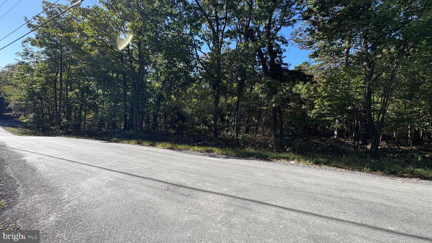 LOT 15, 16, 17, 18 GATLING DR, WINCHESTER, Virginia 22602, ,Land,For sale,LOT 15, 16, 17, 18 GATLING DR,VAFV2037284 MLS # VAFV2037284