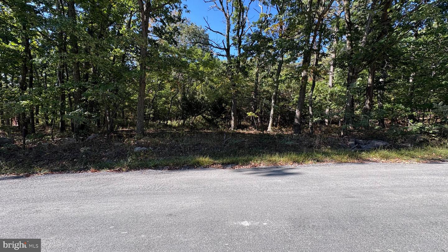 LOT 15, 16, 17, 18 GATLING DR, WINCHESTER, Virginia 22602, ,Land,For sale,LOT 15, 16, 17, 18 GATLING DR,VAFV2037284 MLS # VAFV2037284