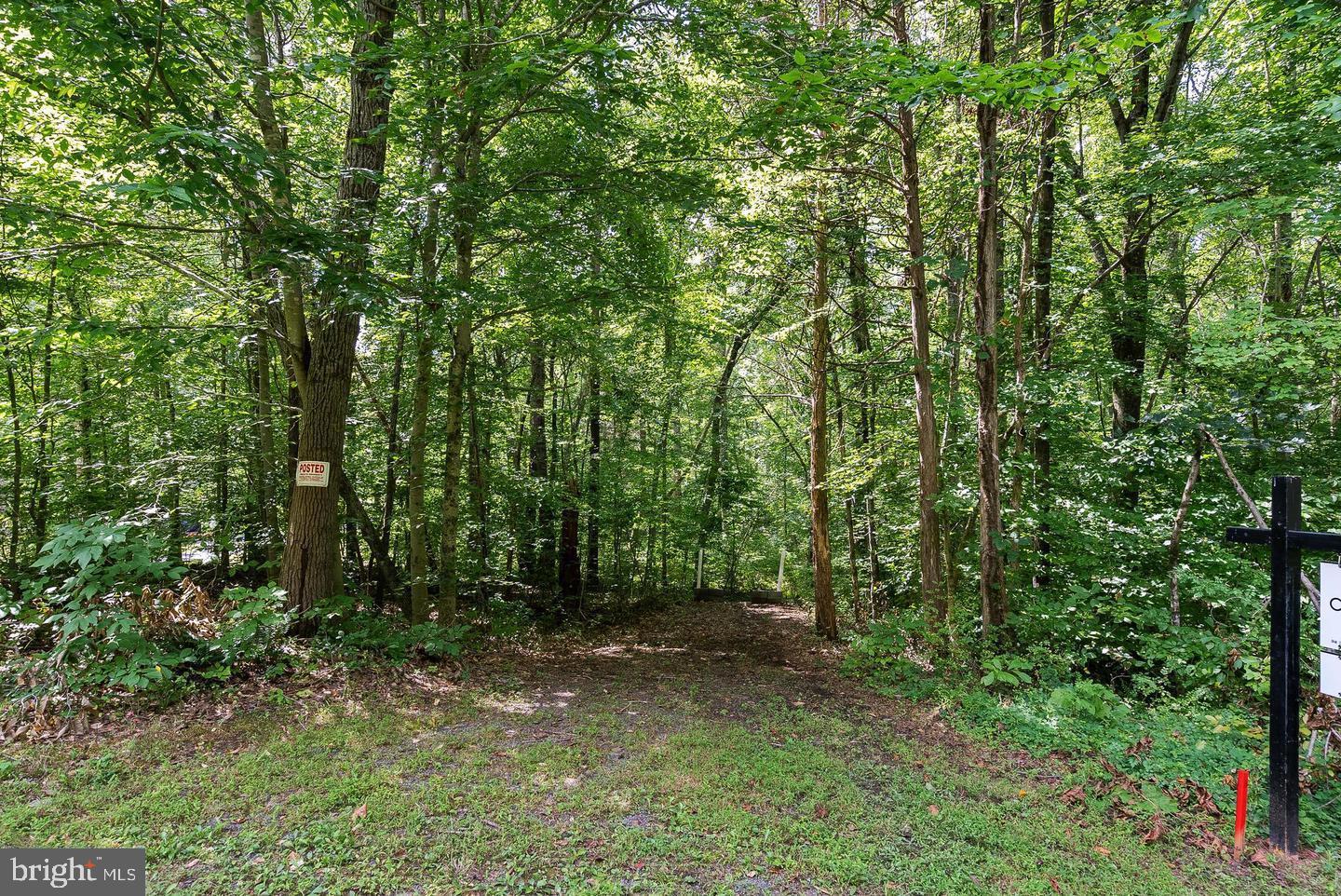9671 MARLETTE DR, NOKESVILLE, Virginia 20181, ,Land,For sale,9671 MARLETTE DR,VAPW2105622 MLS # VAPW2105622