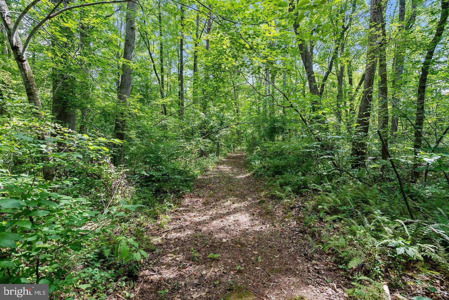 9671 MARLETTE DR, NOKESVILLE, Virginia 20181, ,Land,For sale,9671 MARLETTE DR,VAPW2105622 MLS # VAPW2105622