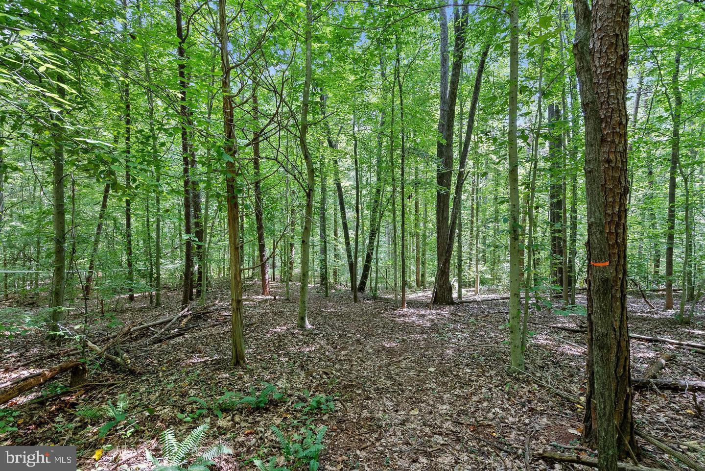 9671 MARLETTE DR, NOKESVILLE, Virginia 20181, ,Land,For sale,9671 MARLETTE DR,VAPW2105622 MLS # VAPW2105622