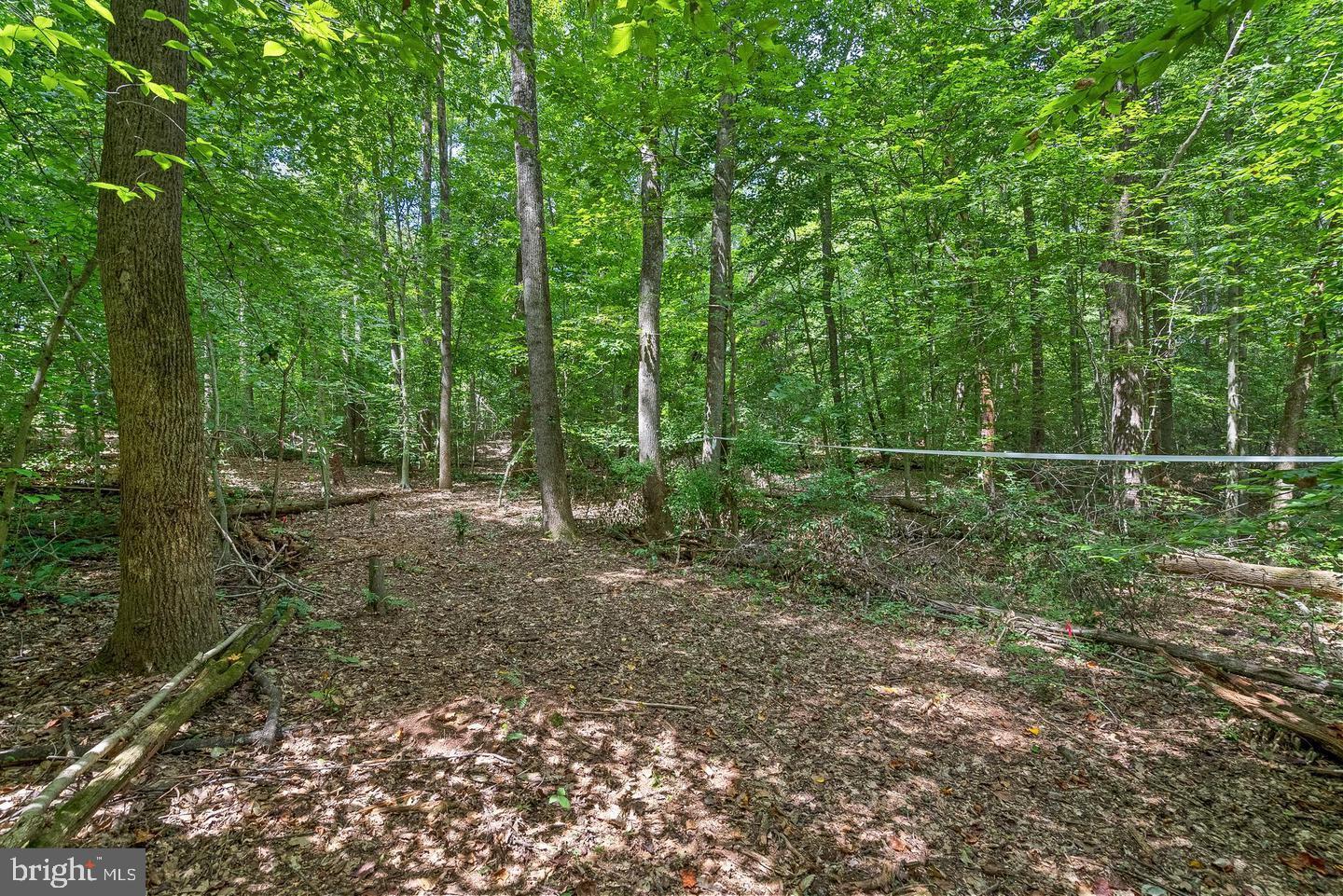 9671 MARLETTE DR, NOKESVILLE, Virginia 20181, ,Land,For sale,9671 MARLETTE DR,VAPW2105622 MLS # VAPW2105622