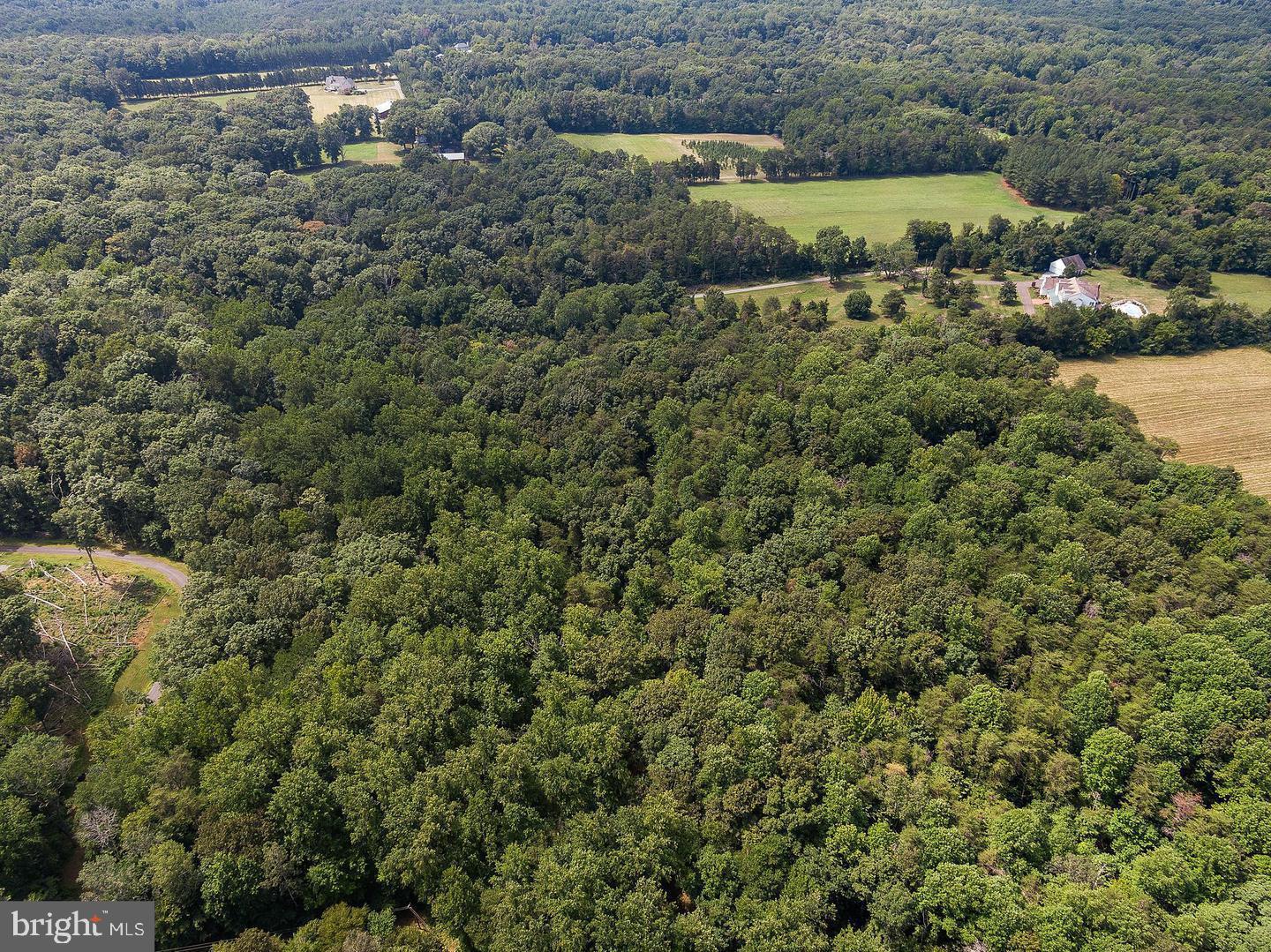 9671 MARLETTE DR, NOKESVILLE, Virginia 20181, ,Land,For sale,9671 MARLETTE DR,VAPW2105622 MLS # VAPW2105622