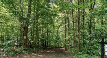 9671 MARLETTE DR, NOKESVILLE, Virginia 20181, ,Land,For sale,9671 MARLETTE DR,VAPW2105622 MLS # VAPW2105622