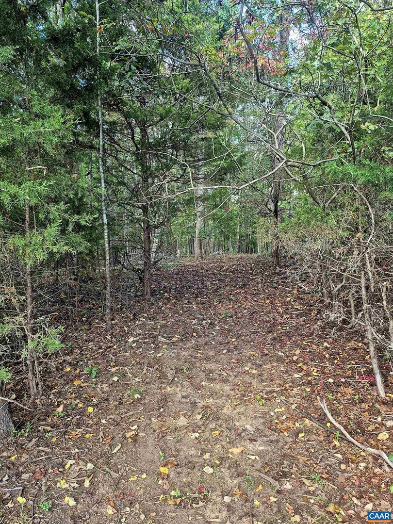 0 ANTIOCH RD #8B, SCOTTSVILLE, Virginia 24590, ,Land,For sale,0 ANTIOCH RD #8B,669798 MLS # 669798