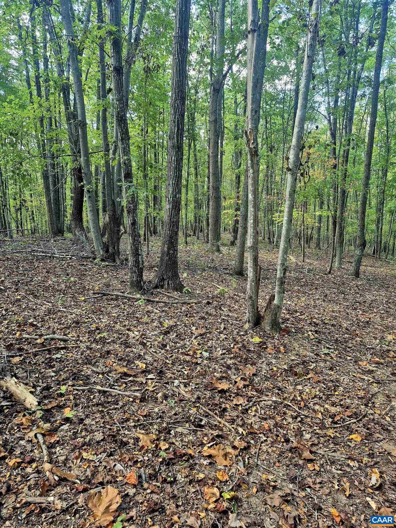 0 ANTIOCH RD #8B, SCOTTSVILLE, Virginia 24590, ,Land,For sale,0 ANTIOCH RD #8B,669798 MLS # 669798