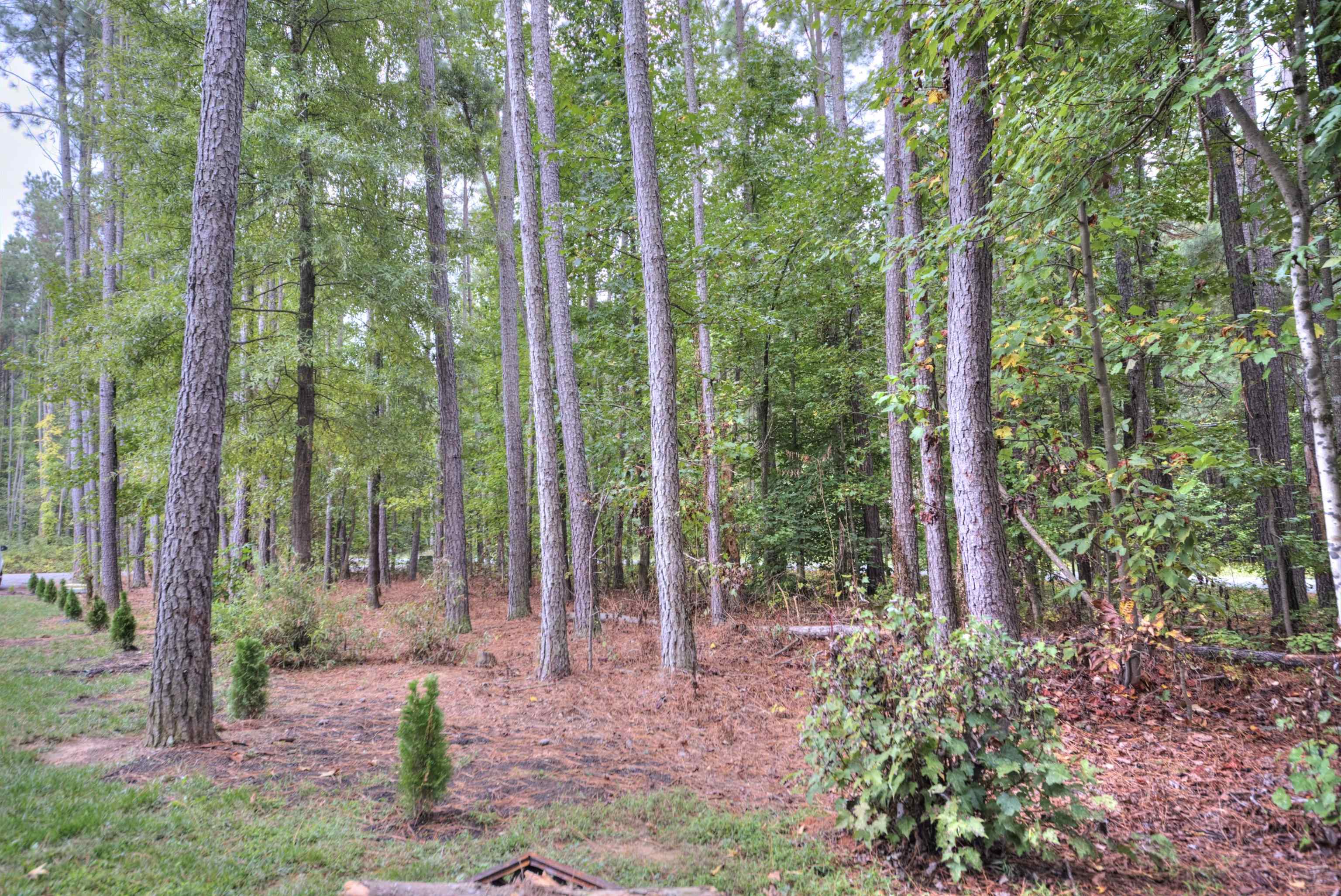 2635 BUMPASS RD, BEAVERDAM, Virginia 23015, 3 Bedrooms Bedrooms, ,2 BathroomsBathrooms,Residential,2635 BUMPASS RD,669781 MLS # 669781