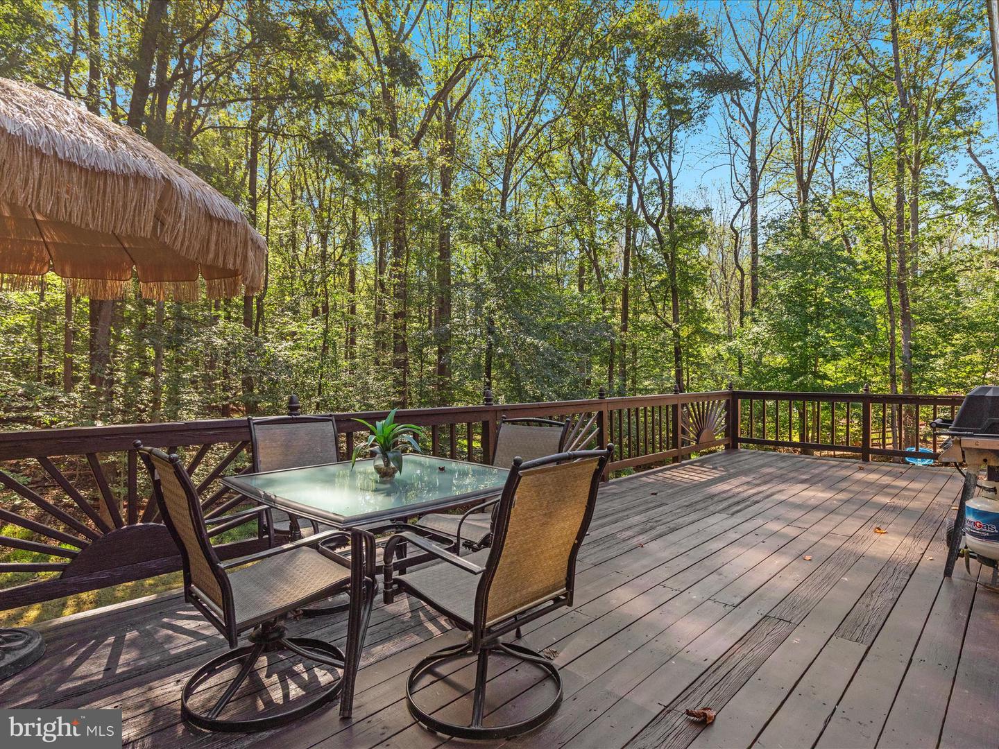 11119 COROBON LN, GREAT FALLS, Virginia 22066, 5 Bedrooms Bedrooms, ,3 BathroomsBathrooms,Residential,For sale,11119 COROBON LN,VAFX2268984 MLS # VAFX2268984