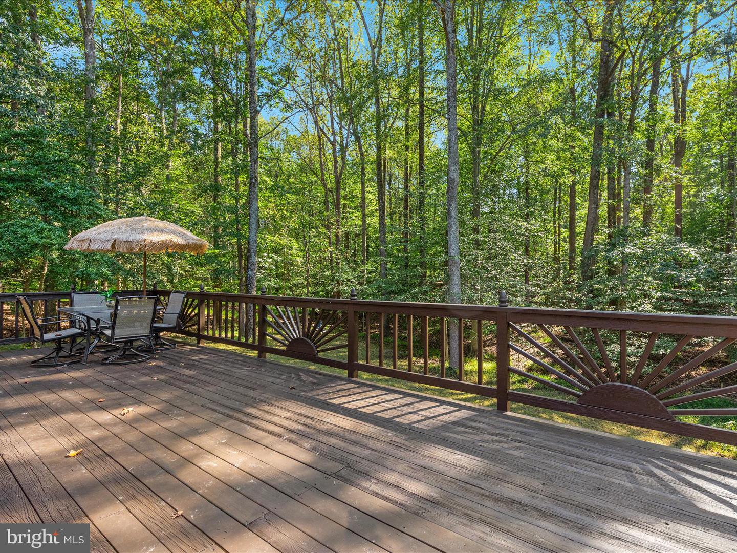 11119 COROBON LN, GREAT FALLS, Virginia 22066, 5 Bedrooms Bedrooms, ,3 BathroomsBathrooms,Residential,For sale,11119 COROBON LN,VAFX2268984 MLS # VAFX2268984