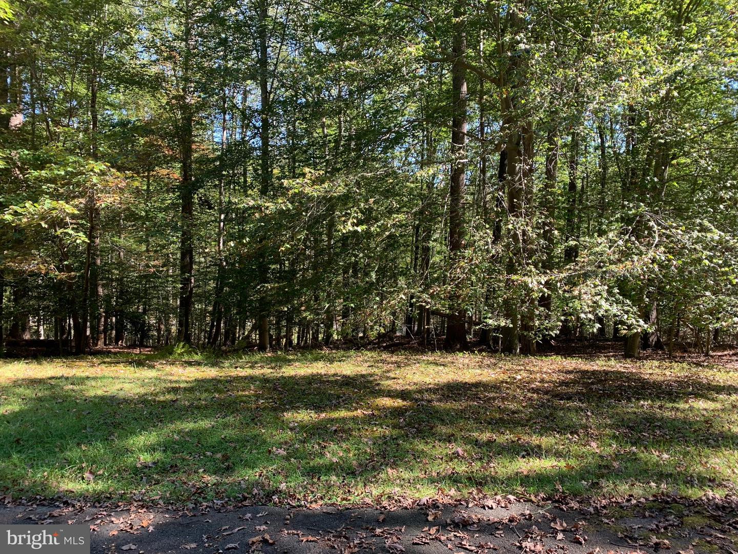 7625 KINCHELOE RD, CLIFTON, Virginia 20124, 4 Bedrooms Bedrooms, ,3 BathroomsBathrooms,Residential,For sale,7625 KINCHELOE RD,VAFX2269918 MLS # VAFX2269918