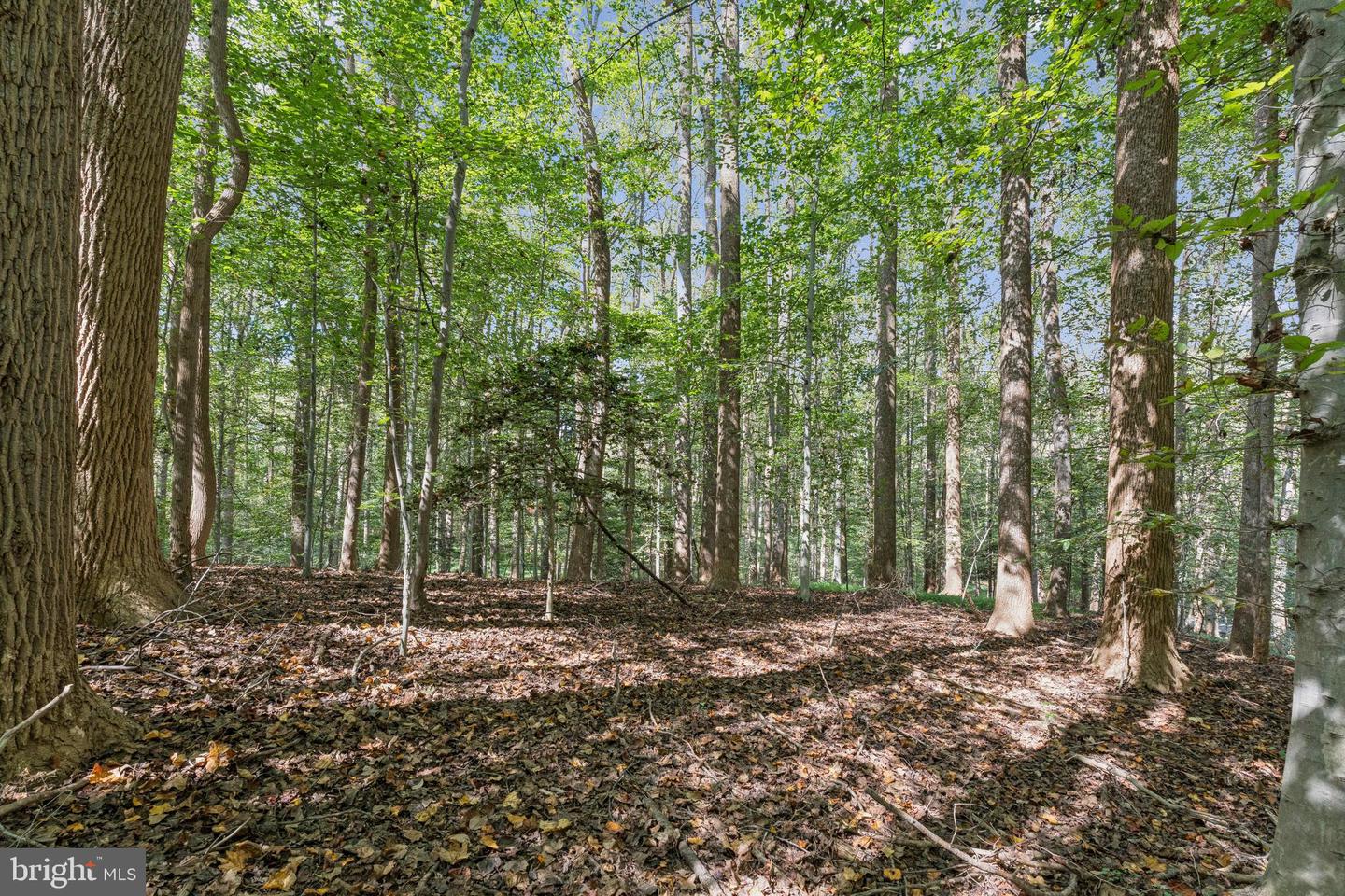 258 JEFFERY LN, GREAT FALLS, Virginia 22066, ,Land,For sale,258 JEFFERY LN,VAFX2272926 MLS # VAFX2272926