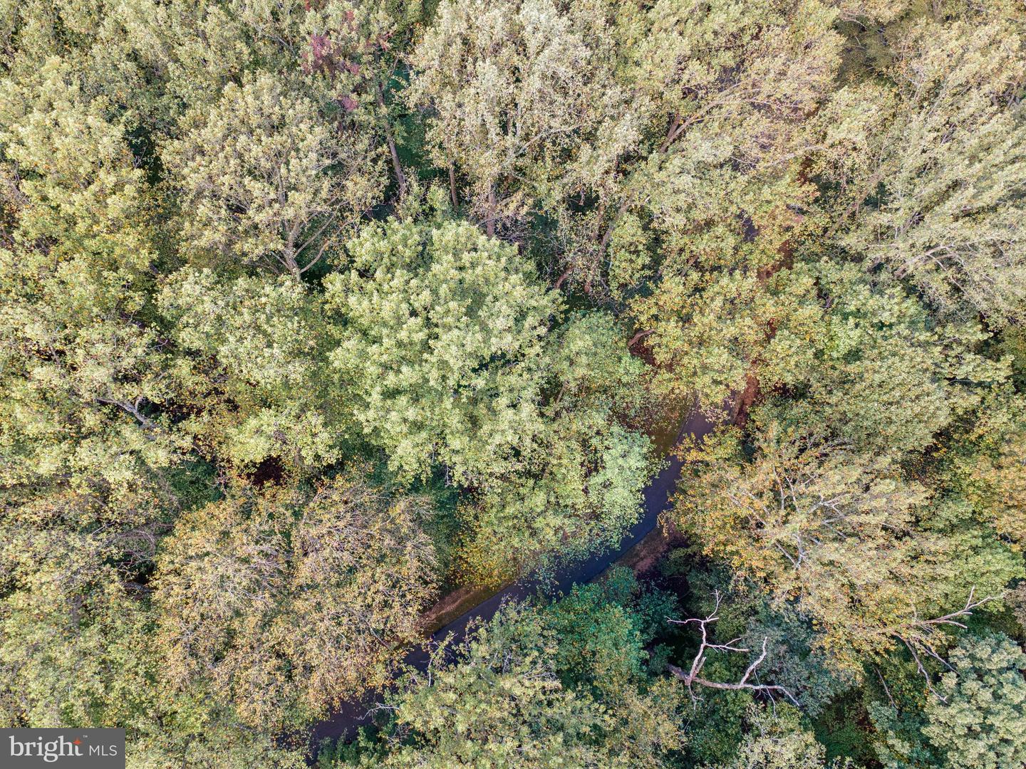 258 JEFFERY LN, GREAT FALLS, Virginia 22066, ,Land,For sale,258 JEFFERY LN,VAFX2272926 MLS # VAFX2272926