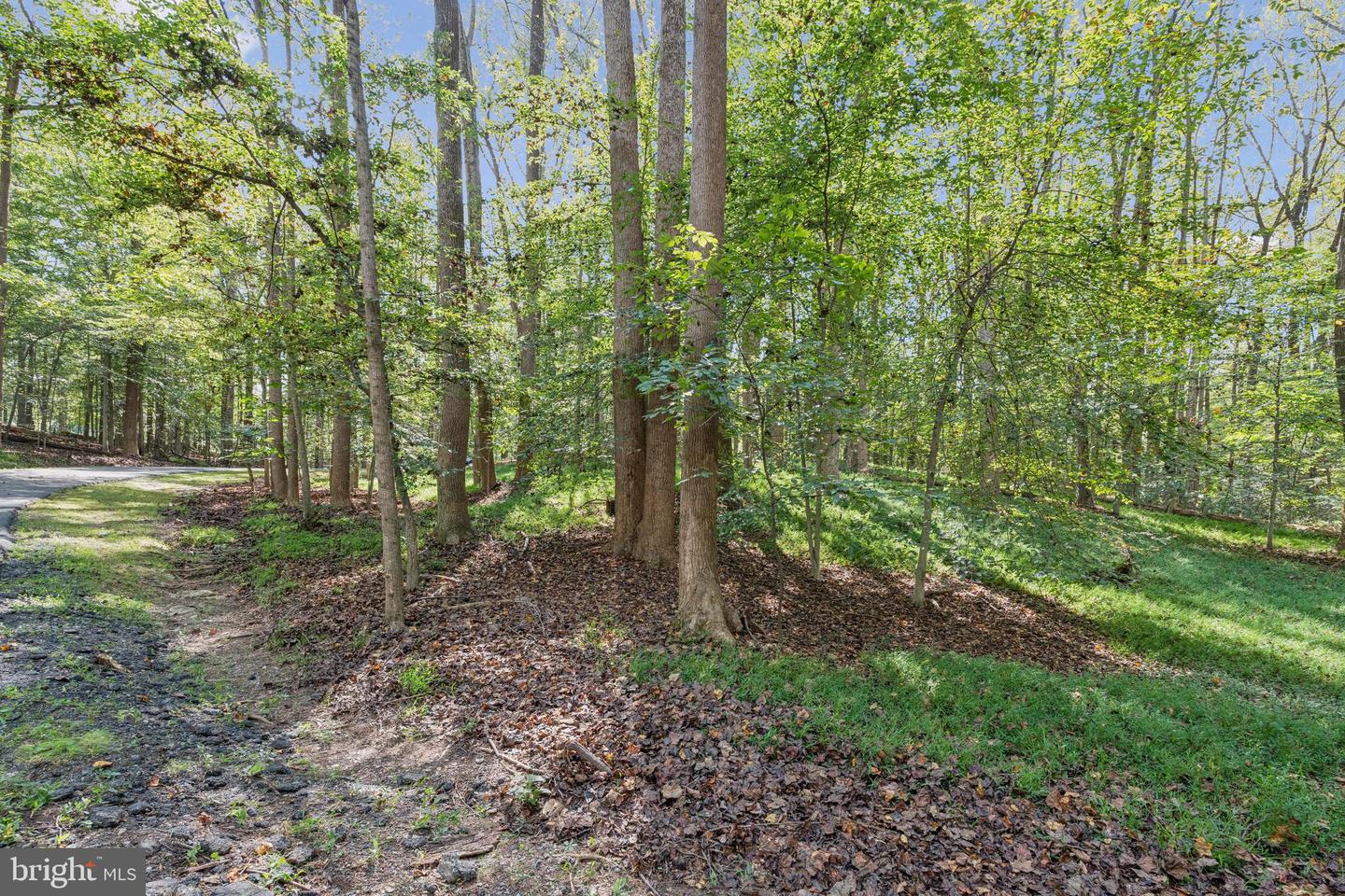258 JEFFERY LN, GREAT FALLS, Virginia 22066, ,Land,For sale,258 JEFFERY LN,VAFX2272926 MLS # VAFX2272926