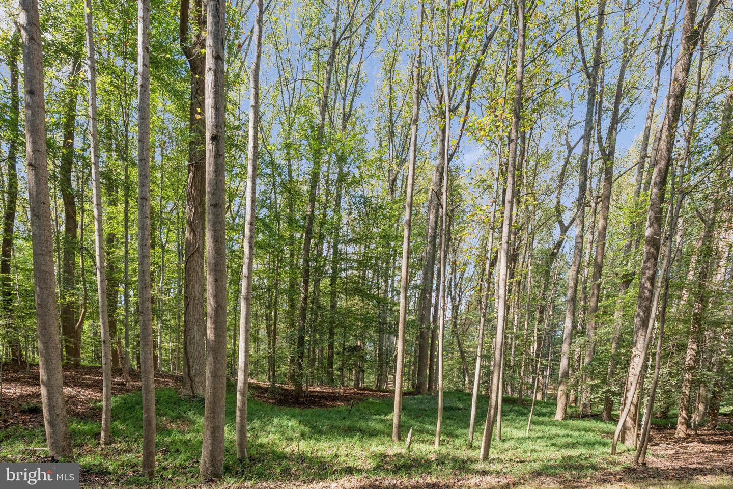 258 JEFFERY LN, GREAT FALLS, Virginia 22066, ,Land,For sale,258 JEFFERY LN,VAFX2272926 MLS # VAFX2272926