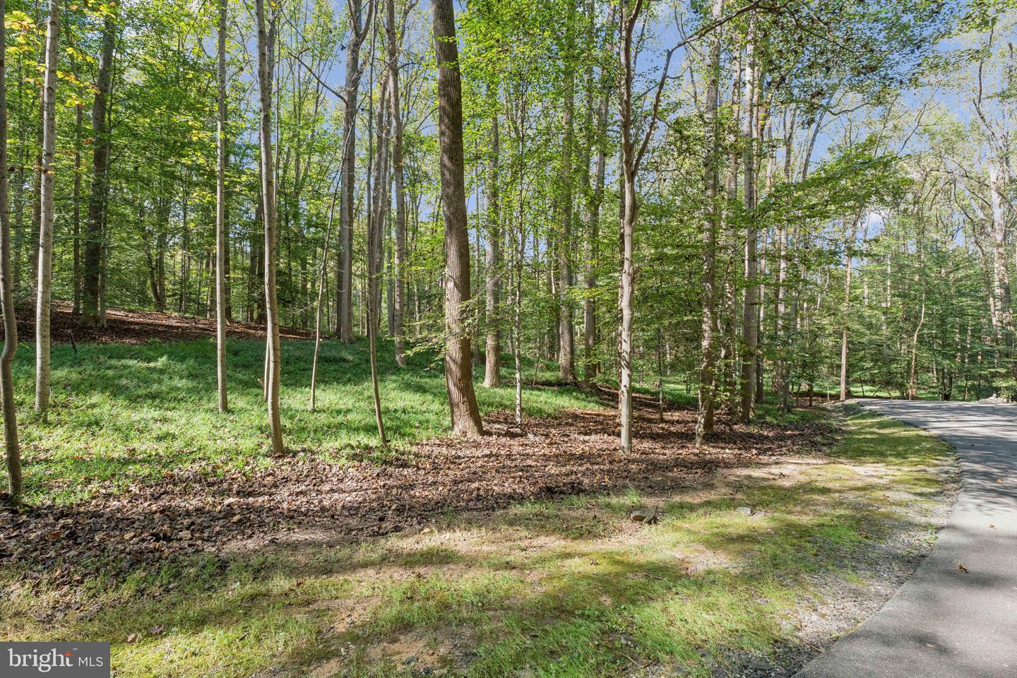 258 JEFFERY LN, GREAT FALLS, Virginia 22066, ,Land,For sale,258 JEFFERY LN,VAFX2272926 MLS # VAFX2272926