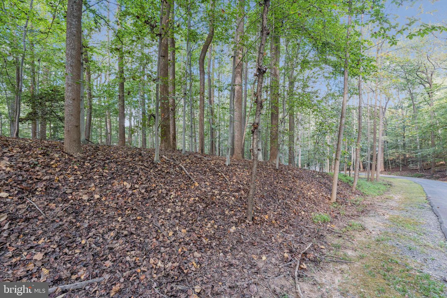 258 JEFFERY LN, GREAT FALLS, Virginia 22066, ,Land,For sale,258 JEFFERY LN,VAFX2272926 MLS # VAFX2272926