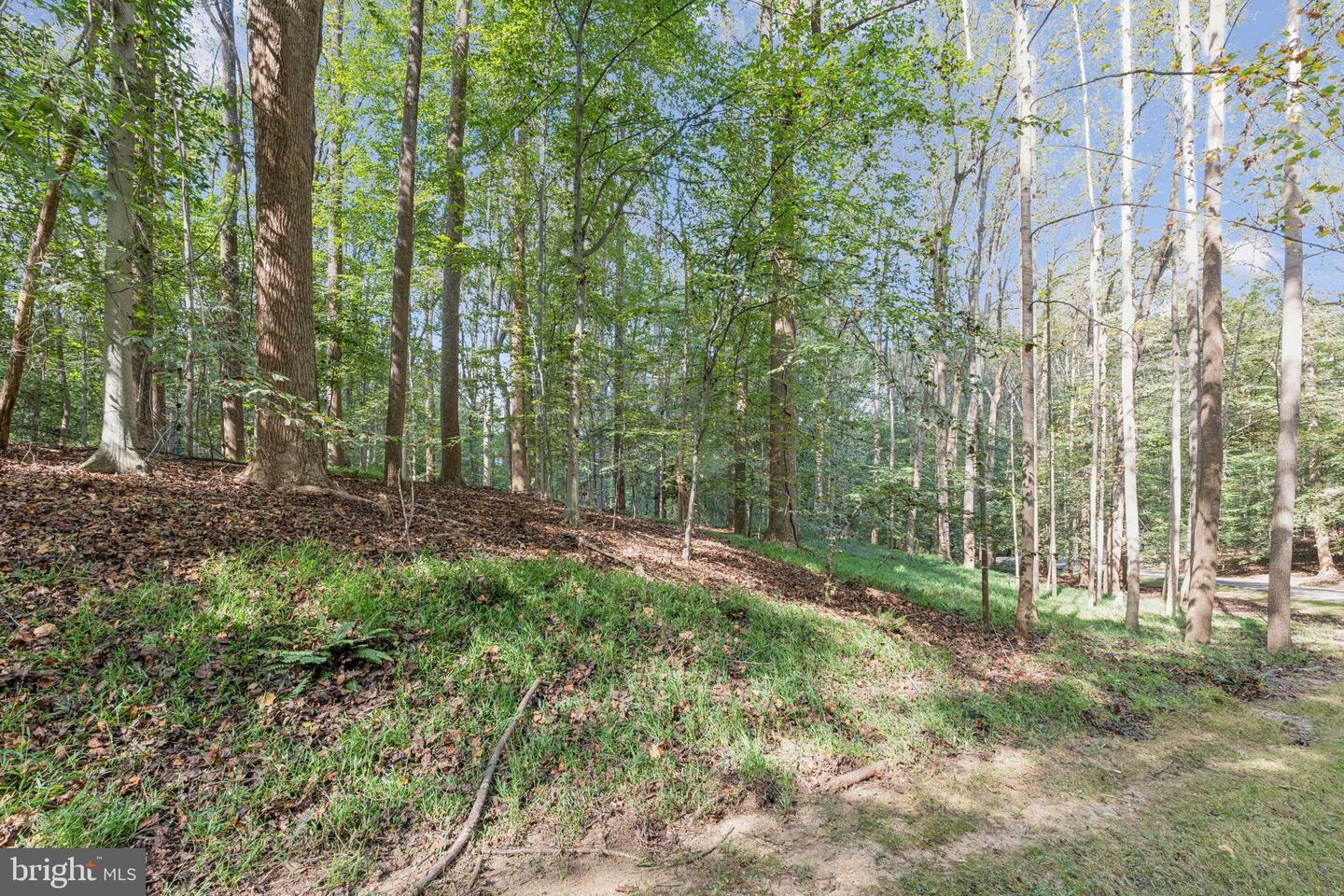 258 JEFFERY LN, GREAT FALLS, Virginia 22066, ,Land,For sale,258 JEFFERY LN,VAFX2272926 MLS # VAFX2272926