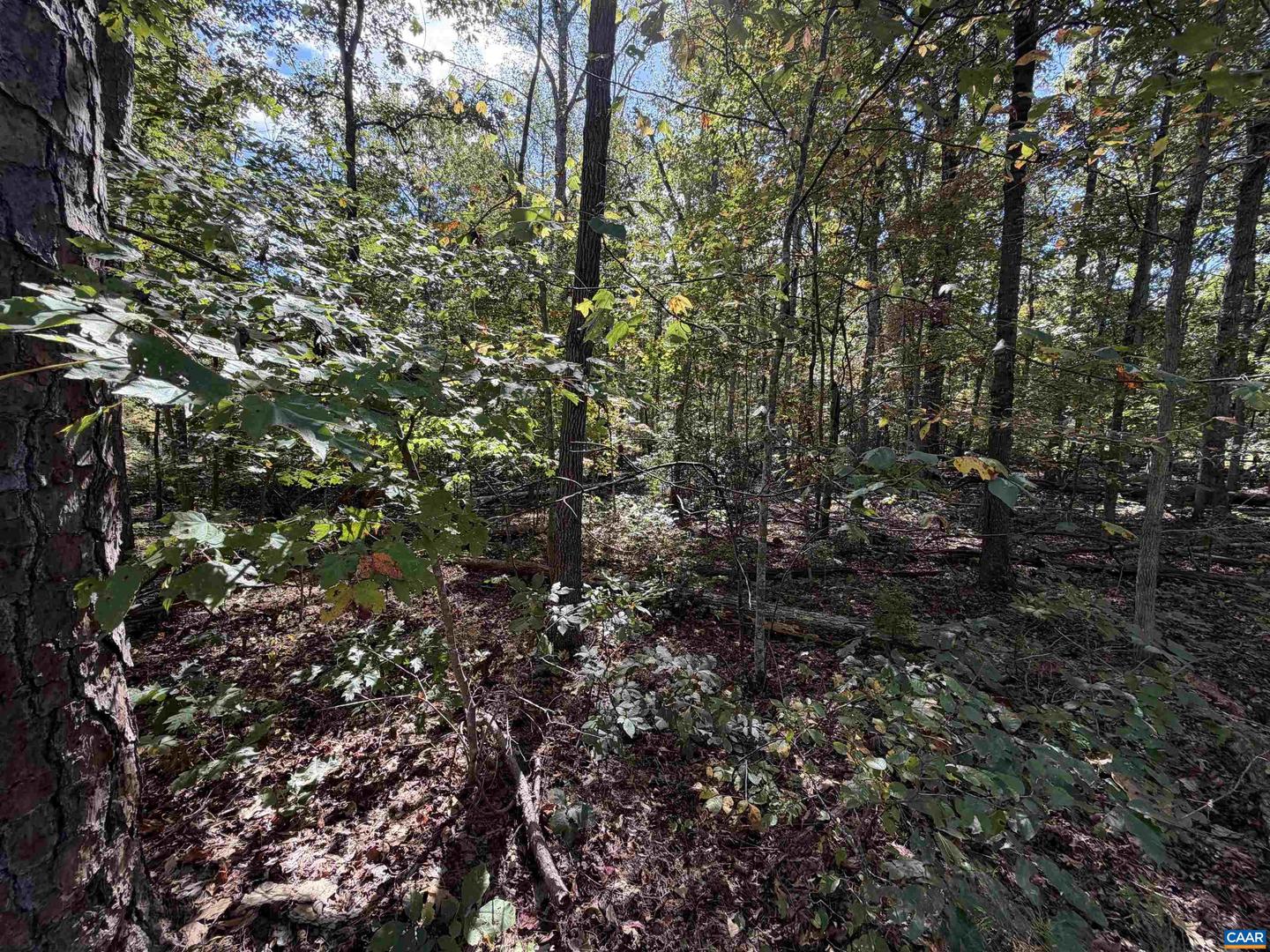 TBD N BOSTON RD, TROY, Virginia 22974, ,Land,For sale,TBD N BOSTON RD,669809 MLS # 669809