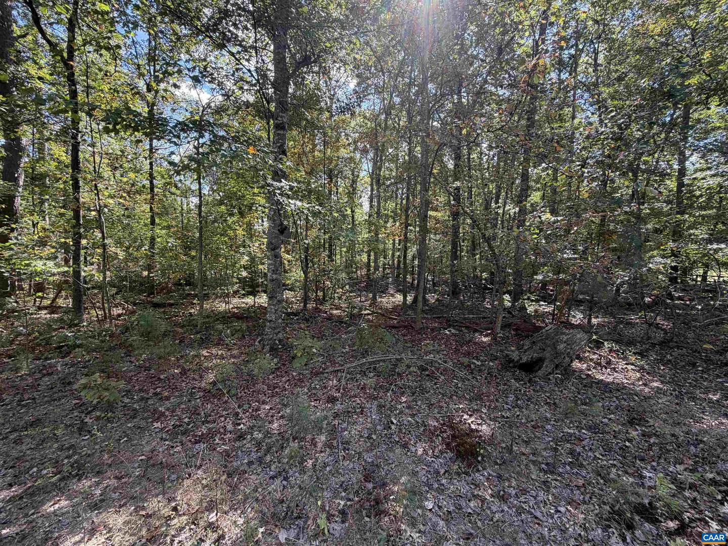 TBD N BOSTON RD, TROY, Virginia 22974, ,Land,For sale,TBD N BOSTON RD,669809 MLS # 669809