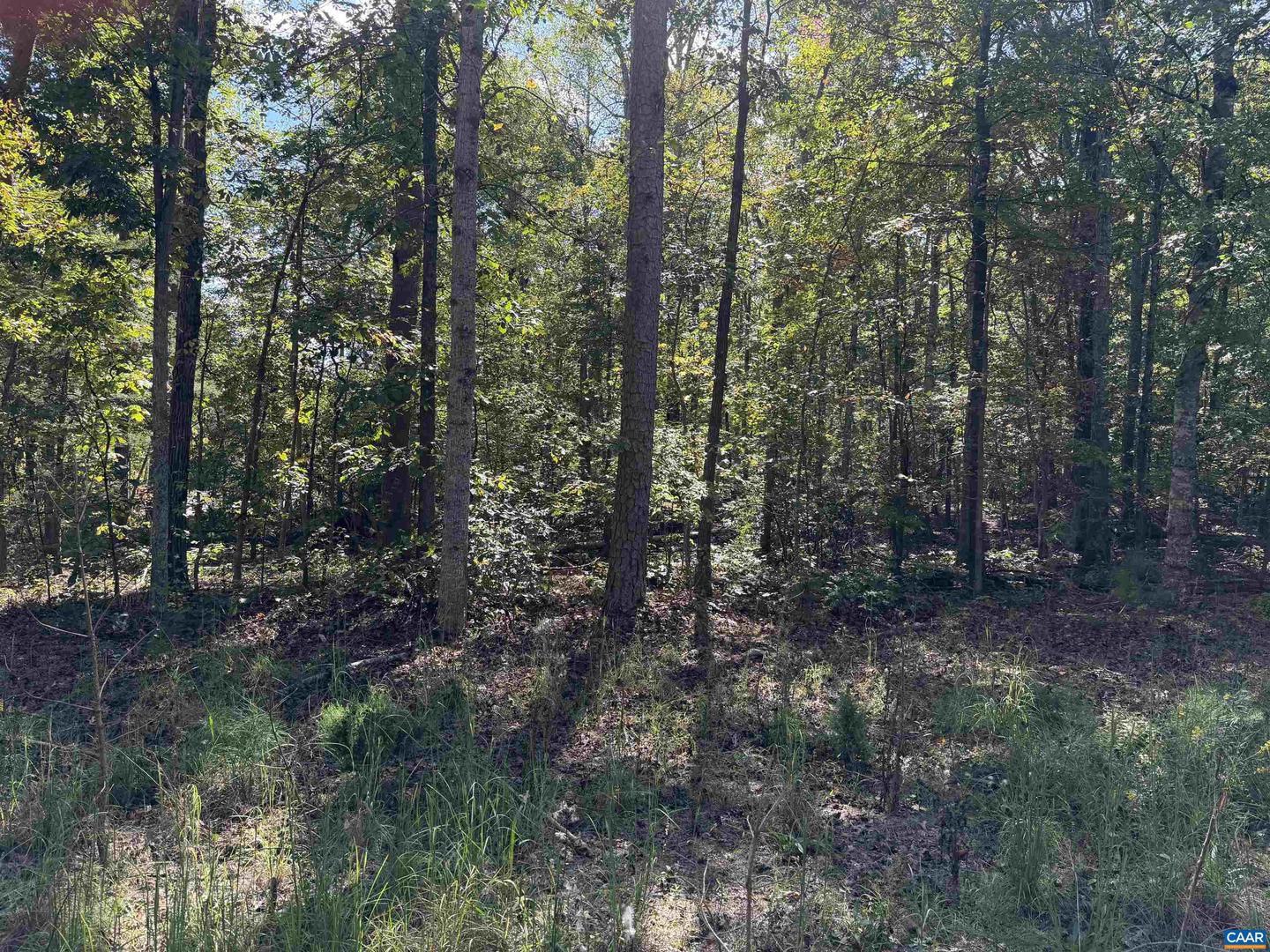 TBD N BOSTON RD, TROY, Virginia 22974, ,Land,For sale,TBD N BOSTON RD,669809 MLS # 669809