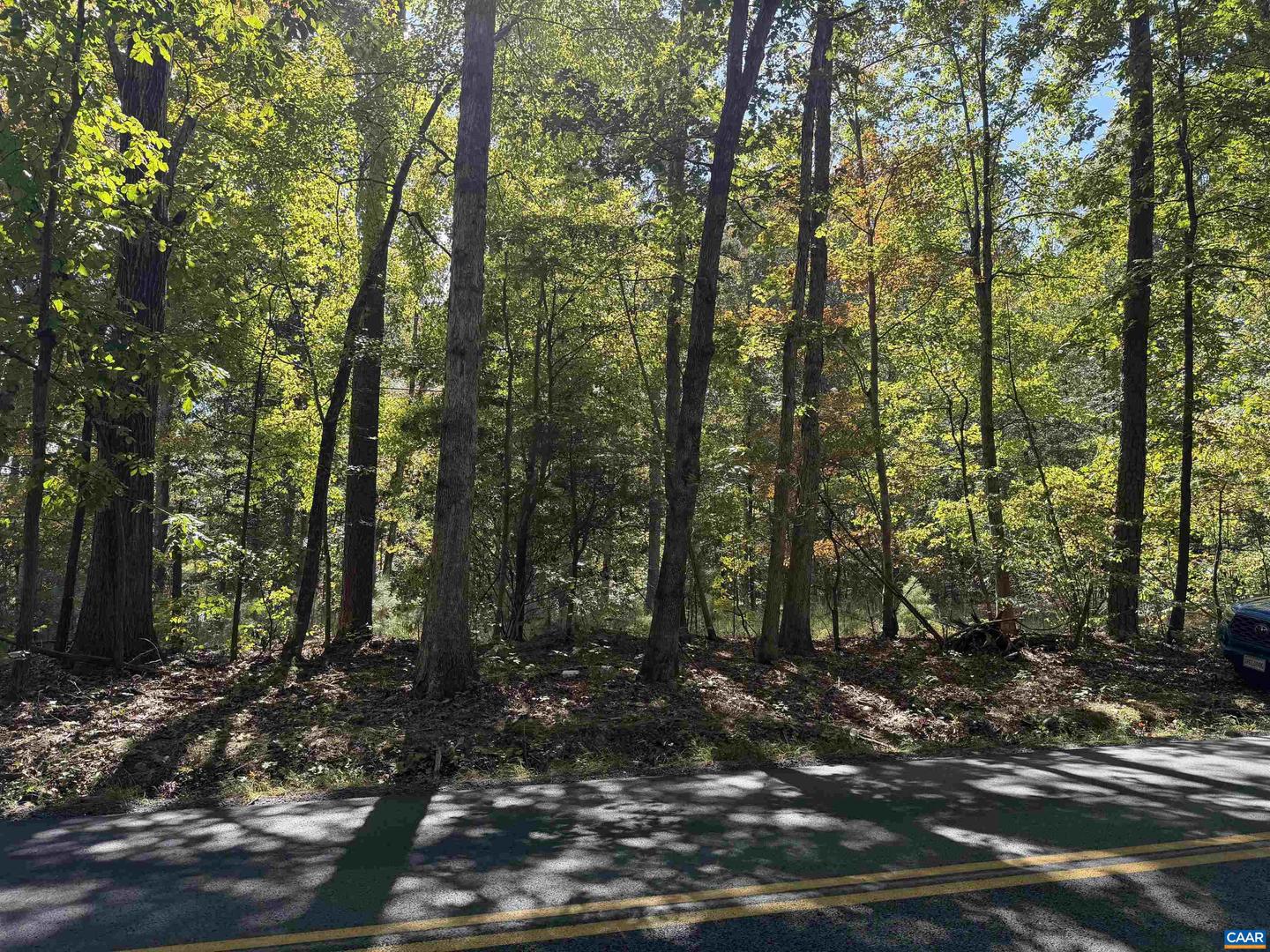 TBD N BOSTON RD, TROY, Virginia 22974, ,Land,For sale,TBD N BOSTON RD,669809 MLS # 669809