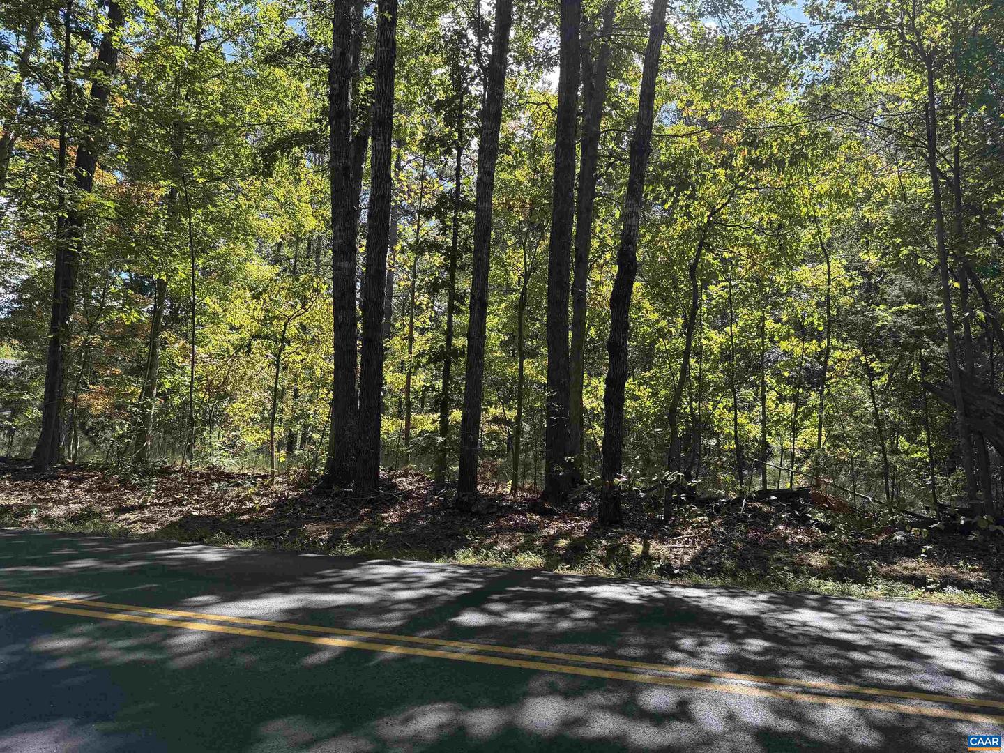 TBD N BOSTON RD, TROY, Virginia 22974, ,Land,For sale,TBD N BOSTON RD,669809 MLS # 669809