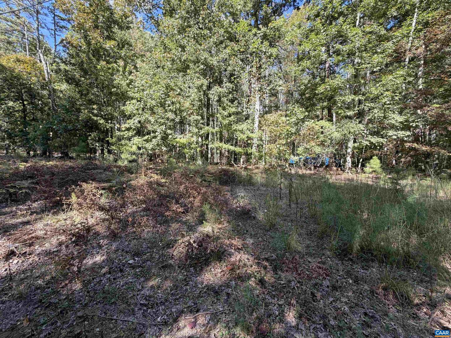 TBD N BOSTON RD, TROY, Virginia 22974, ,Land,For sale,TBD N BOSTON RD,669809 MLS # 669809
