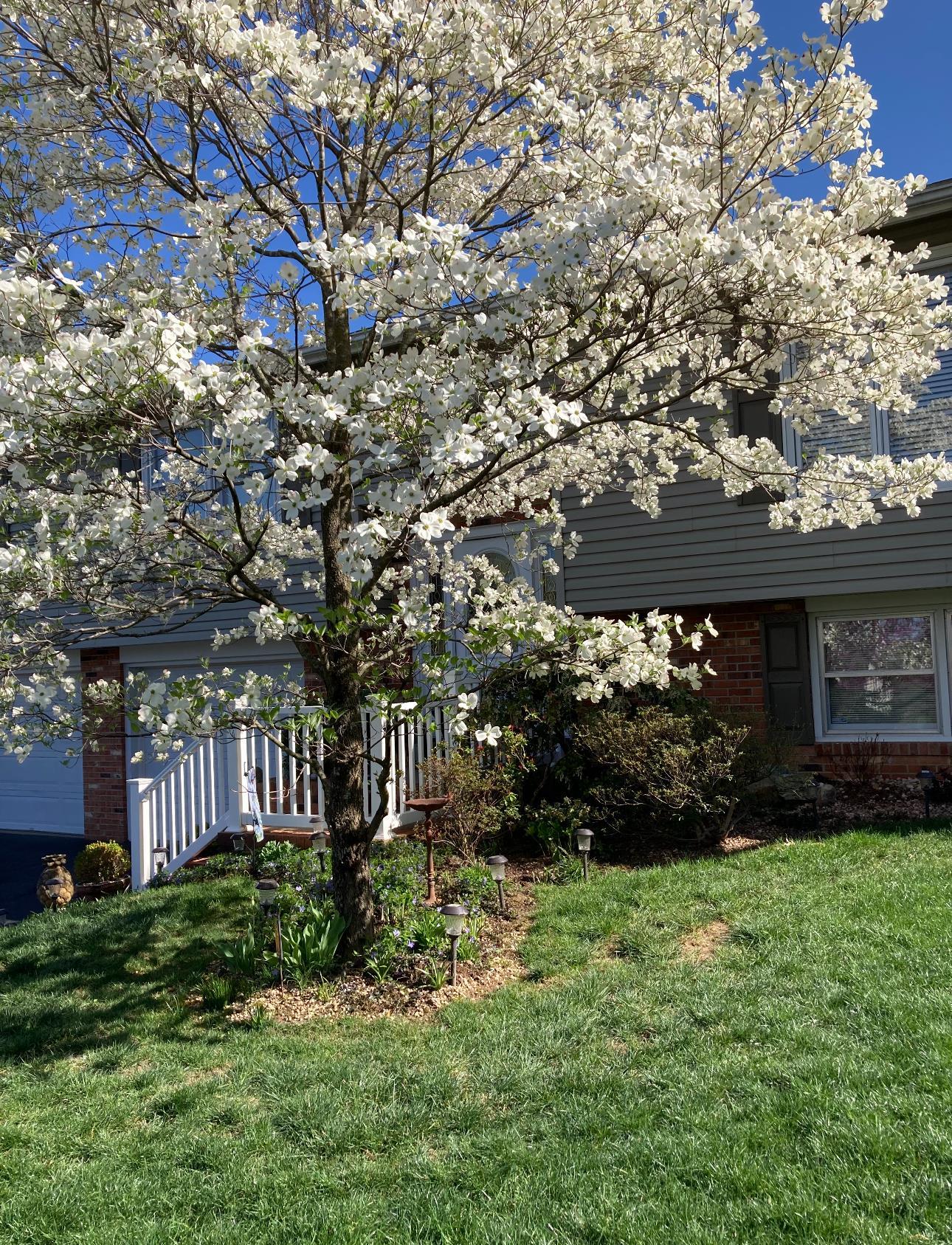 96 COLD SPRING RD, STUARTS DRAFT, Virginia 24477, 3 Bedrooms Bedrooms, ,3 BathroomsBathrooms,Residential,96 COLD SPRING RD,669812 MLS # 669812