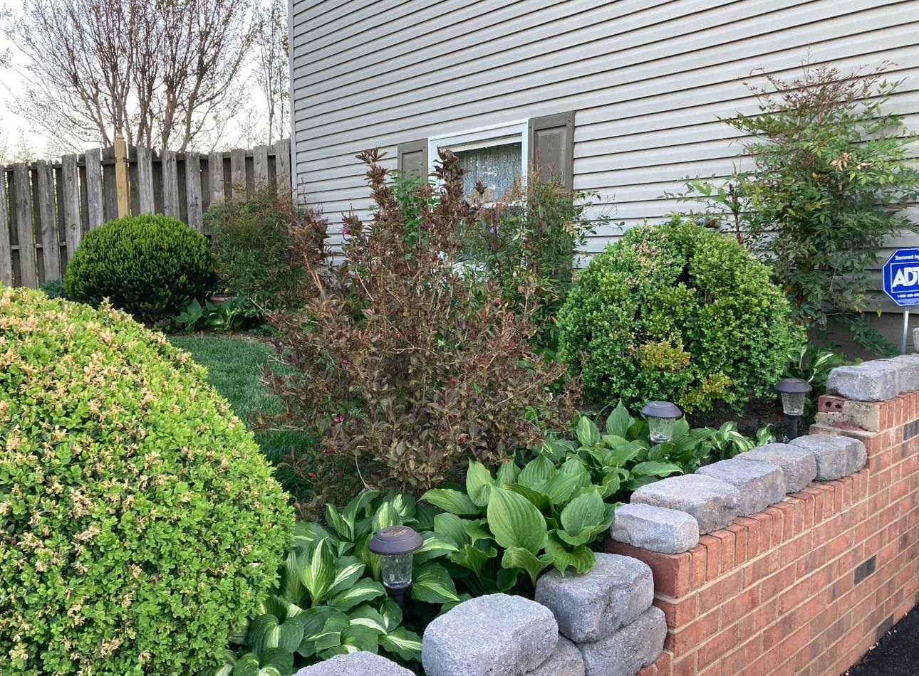 96 COLD SPRING RD, STUARTS DRAFT, Virginia 24477, 3 Bedrooms Bedrooms, ,3 BathroomsBathrooms,Residential,96 COLD SPRING RD,669812 MLS # 669812