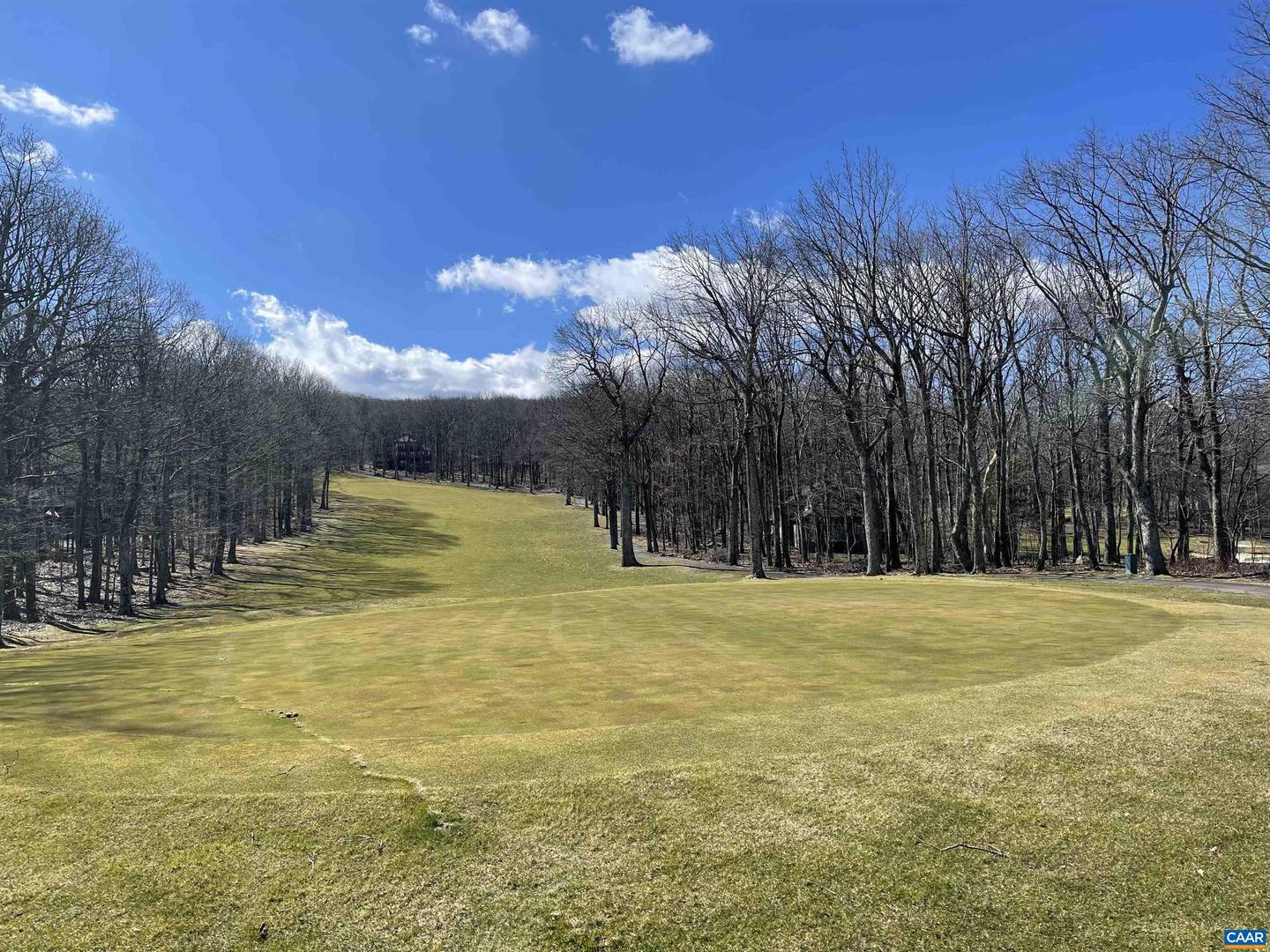 1025 BLUE RIDGE DR #CHESTNUT SPRINGS LOT, WINTERGREEN RESORT, Virginia 22967, ,Land,For sale,1025 BLUE RIDGE DR #CHESTNUT SPRINGS LOT,669838 MLS # 669838