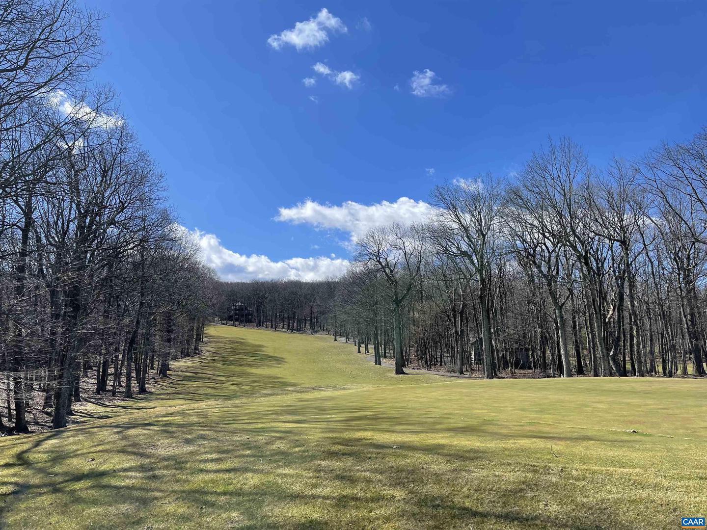 1025 BLUE RIDGE DR #CHESTNUT SPRINGS LOT, WINTERGREEN RESORT, Virginia 22967, ,Land,For sale,1025 BLUE RIDGE DR #CHESTNUT SPRINGS LOT,669838 MLS # 669838