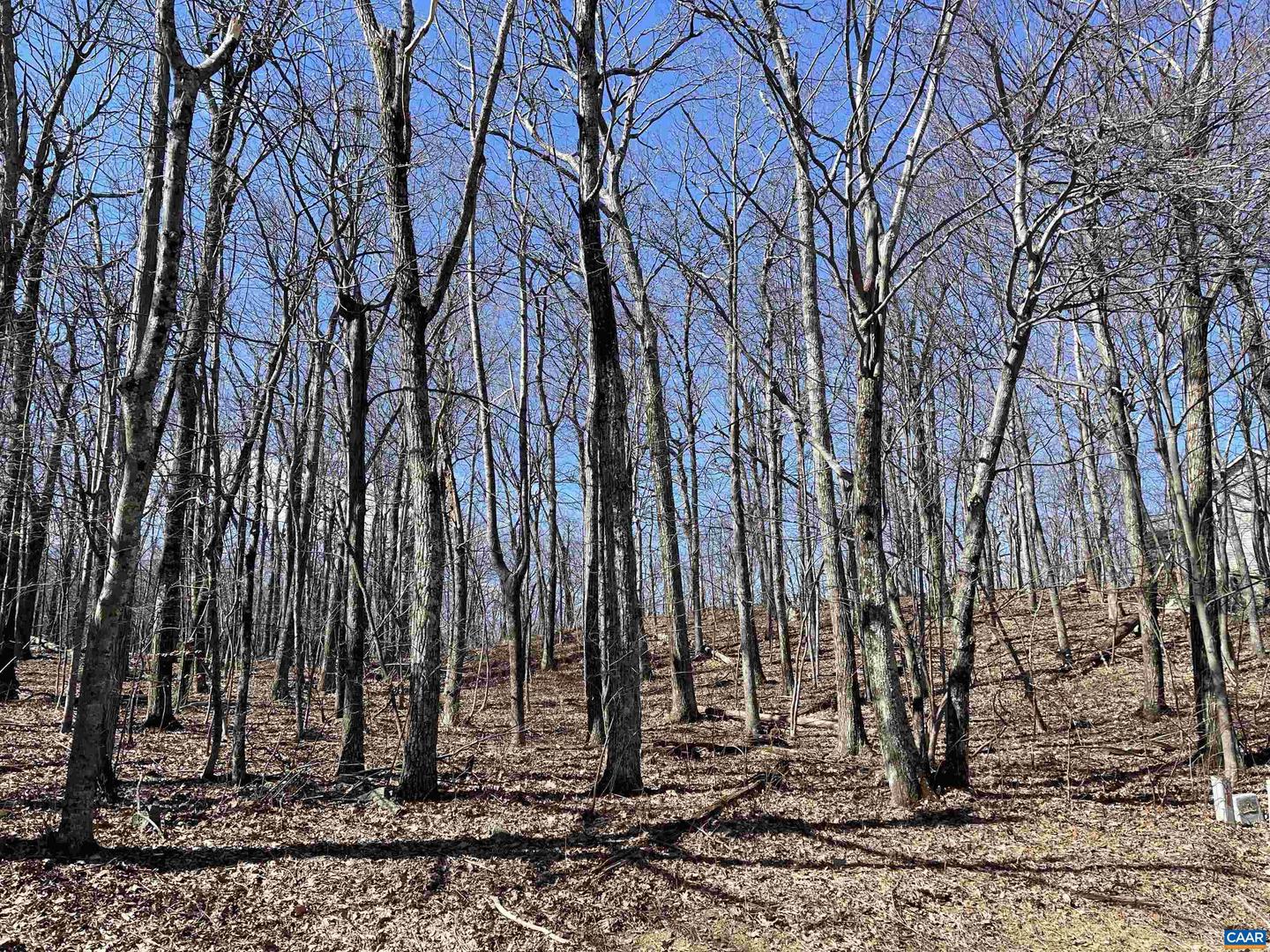 1025 BLUE RIDGE DR #CHESTNUT SPRINGS LOT, WINTERGREEN RESORT, Virginia 22967, ,Land,For sale,1025 BLUE RIDGE DR #CHESTNUT SPRINGS LOT,669838 MLS # 669838