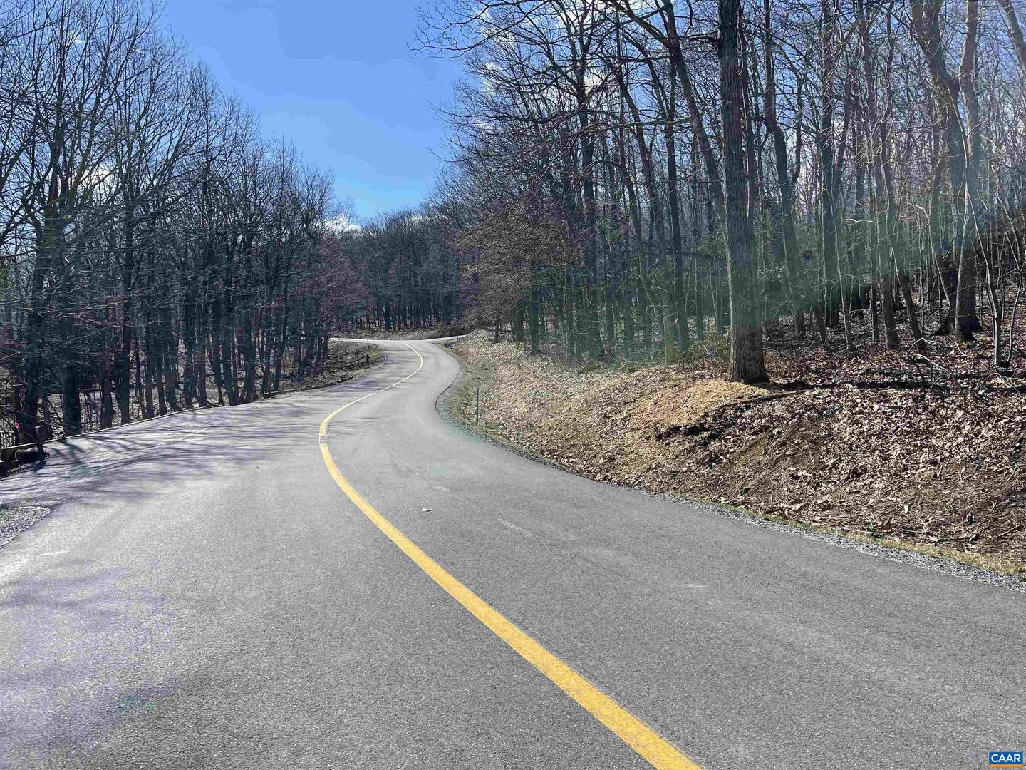 1025 BLUE RIDGE DR #CHESTNUT SPRINGS LOT, WINTERGREEN RESORT, Virginia 22967, ,Land,For sale,1025 BLUE RIDGE DR #CHESTNUT SPRINGS LOT,669838 MLS # 669838