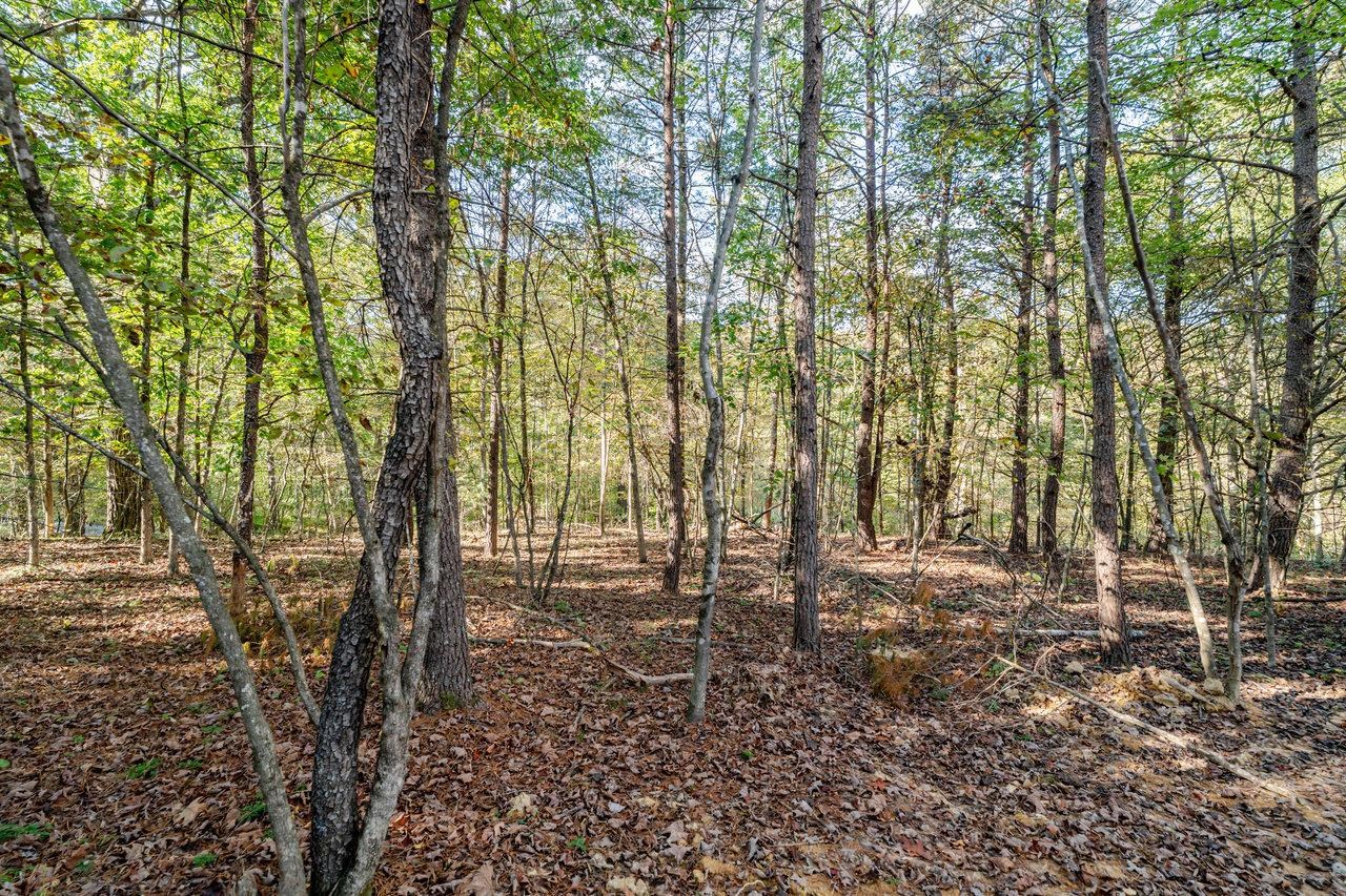 209 BEAVER RD, BASYE, Virginia 22810, 3 Bedrooms Bedrooms, ,2 BathroomsBathrooms,Residential,209 BEAVER RD,669829 MLS # 669829