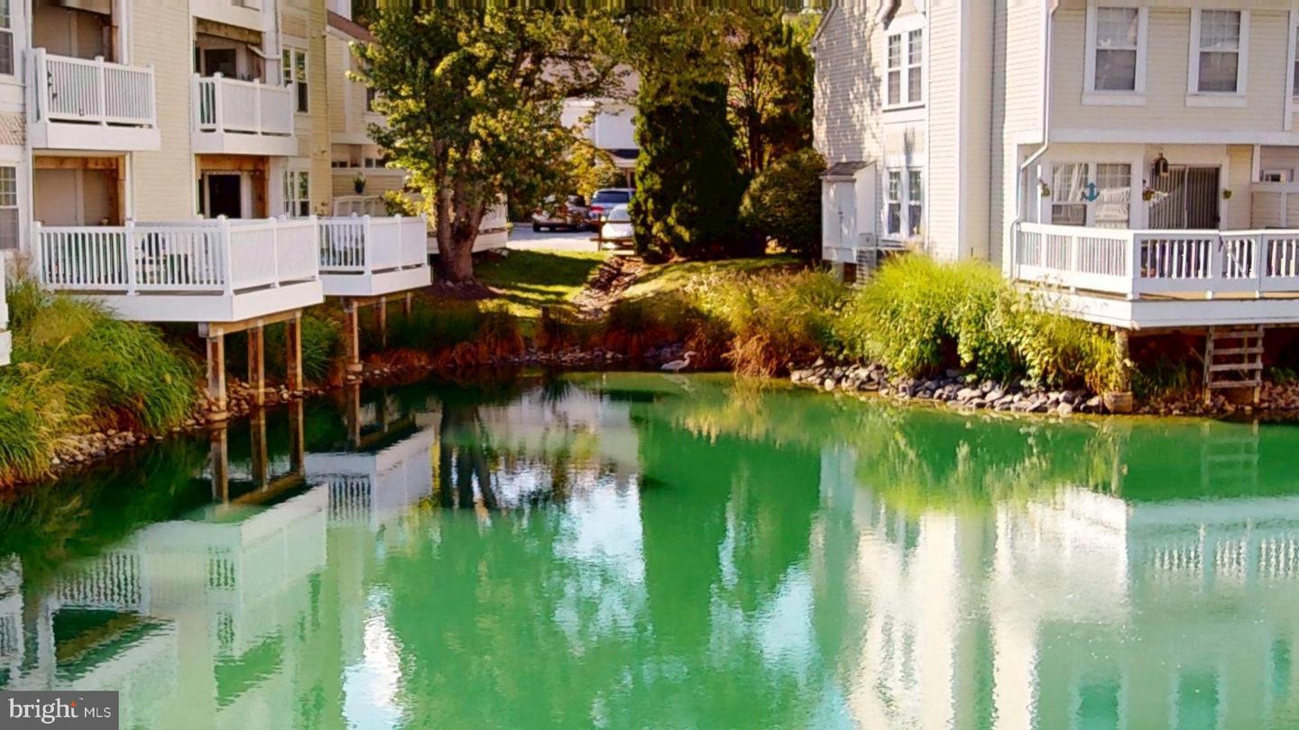 3345 LAKESIDE VIEW DR #7-7, FALLS CHURCH, Virginia 22041, 2 Bedrooms Bedrooms, 8 Rooms Rooms,2 BathroomsBathrooms,Residential,For sale,3345 LAKESIDE VIEW DR #7-7,VAFX2266858 MLS # VAFX2266858