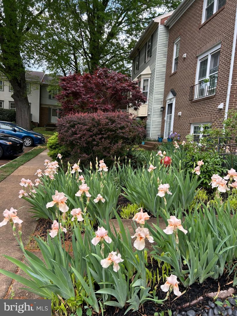 2810 ANDIRON LN, VIENNA, Virginia 22180, 3 Bedrooms Bedrooms, ,2 BathroomsBathrooms,Residential,For sale,2810 ANDIRON LN,VAFX2273176 MLS # VAFX2273176