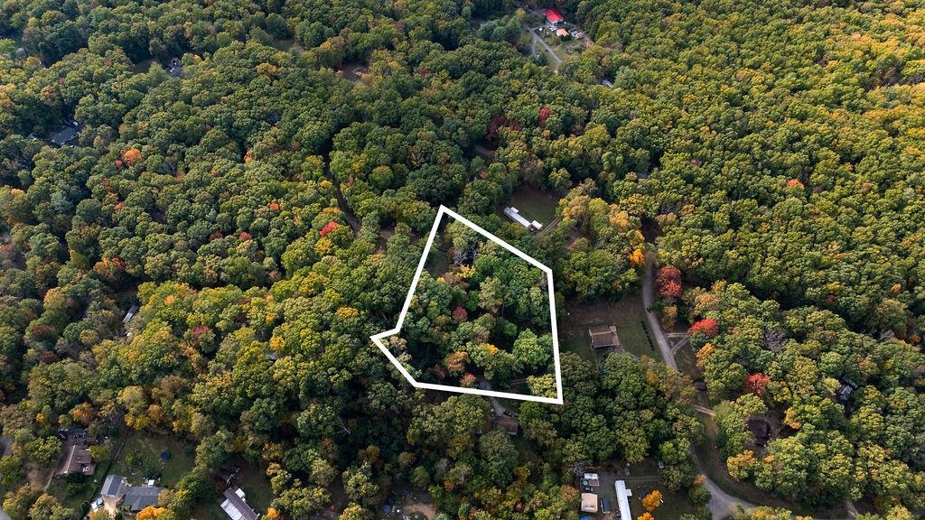 TBD HORSESHOE HOLLOW, GREENVILLE, Virginia 24440, ,Land,TBD HORSESHOE HOLLOW,669876 MLS # 669876