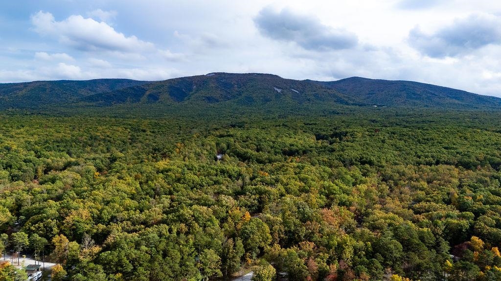 TBD HORSESHOE HOLLOW, GREENVILLE, Virginia 24440, ,Land,TBD HORSESHOE HOLLOW,669876 MLS # 669876
