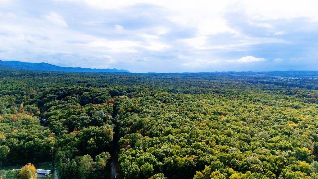 TBD HORSESHOE HOLLOW, GREENVILLE, Virginia 24440, ,Land,TBD HORSESHOE HOLLOW,669876 MLS # 669876