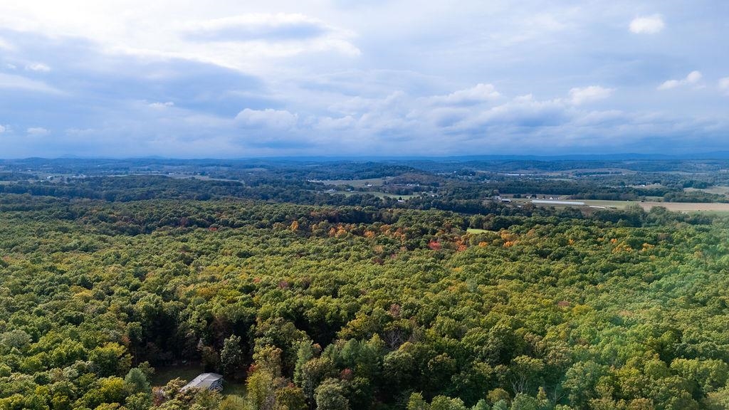TBD HORSESHOE HOLLOW, GREENVILLE, Virginia 24440, ,Land,TBD HORSESHOE HOLLOW,669876 MLS # 669876