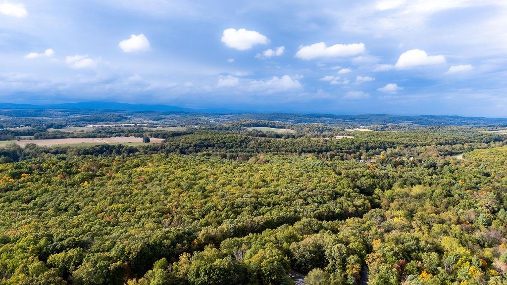 TBD HORSESHOE HOLLOW, GREENVILLE, Virginia 24440, ,Land,TBD HORSESHOE HOLLOW,669876 MLS # 669876