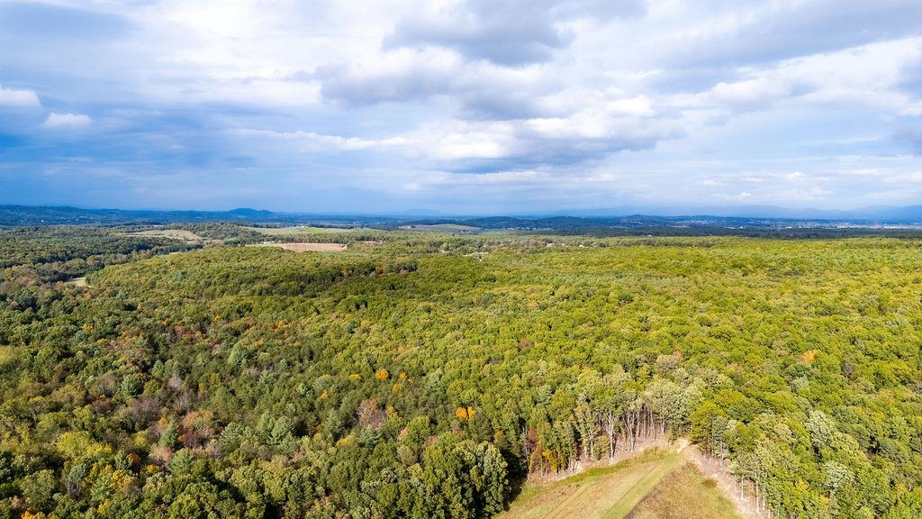 TBD HORSESHOE HOLLOW, GREENVILLE, Virginia 24440, ,Land,TBD HORSESHOE HOLLOW,669876 MLS # 669876