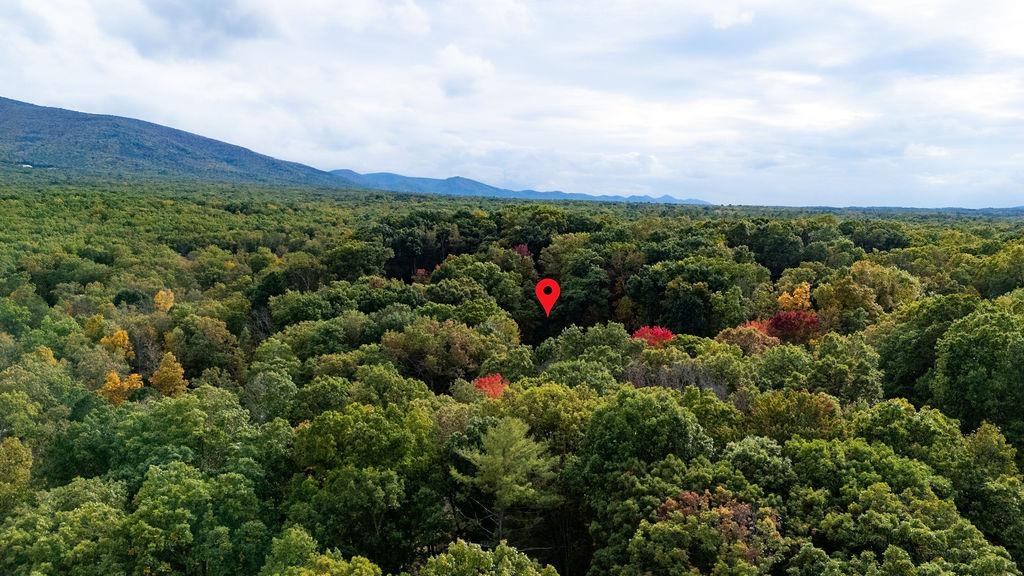 TBD HORSESHOE HOLLOW, GREENVILLE, Virginia 24440, ,Land,TBD HORSESHOE HOLLOW,669876 MLS # 669876