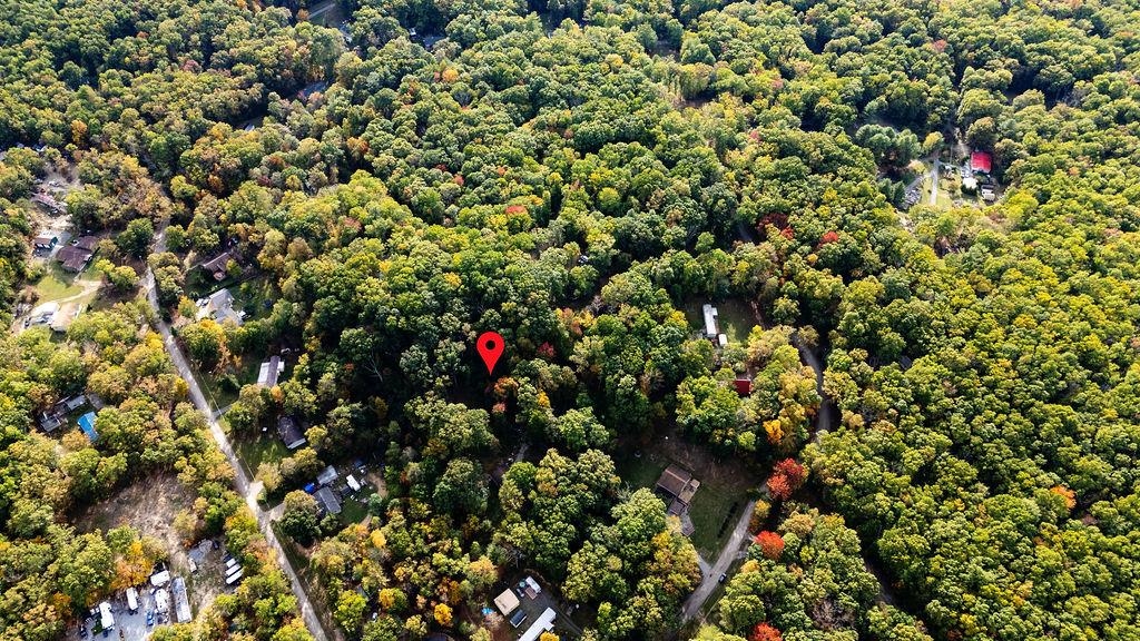 TBD HORSESHOE HOLLOW, GREENVILLE, Virginia 24440, ,Land,TBD HORSESHOE HOLLOW,669876 MLS # 669876