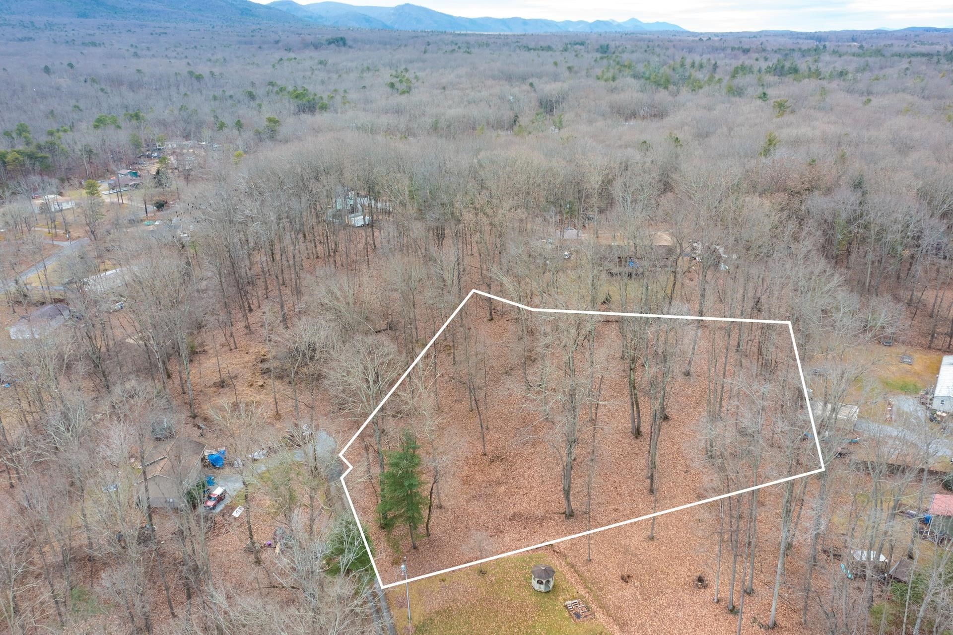 TBD HORSESHOE HOLLOW, GREENVILLE, Virginia 24440, ,Land,TBD HORSESHOE HOLLOW,669876 MLS # 669876
