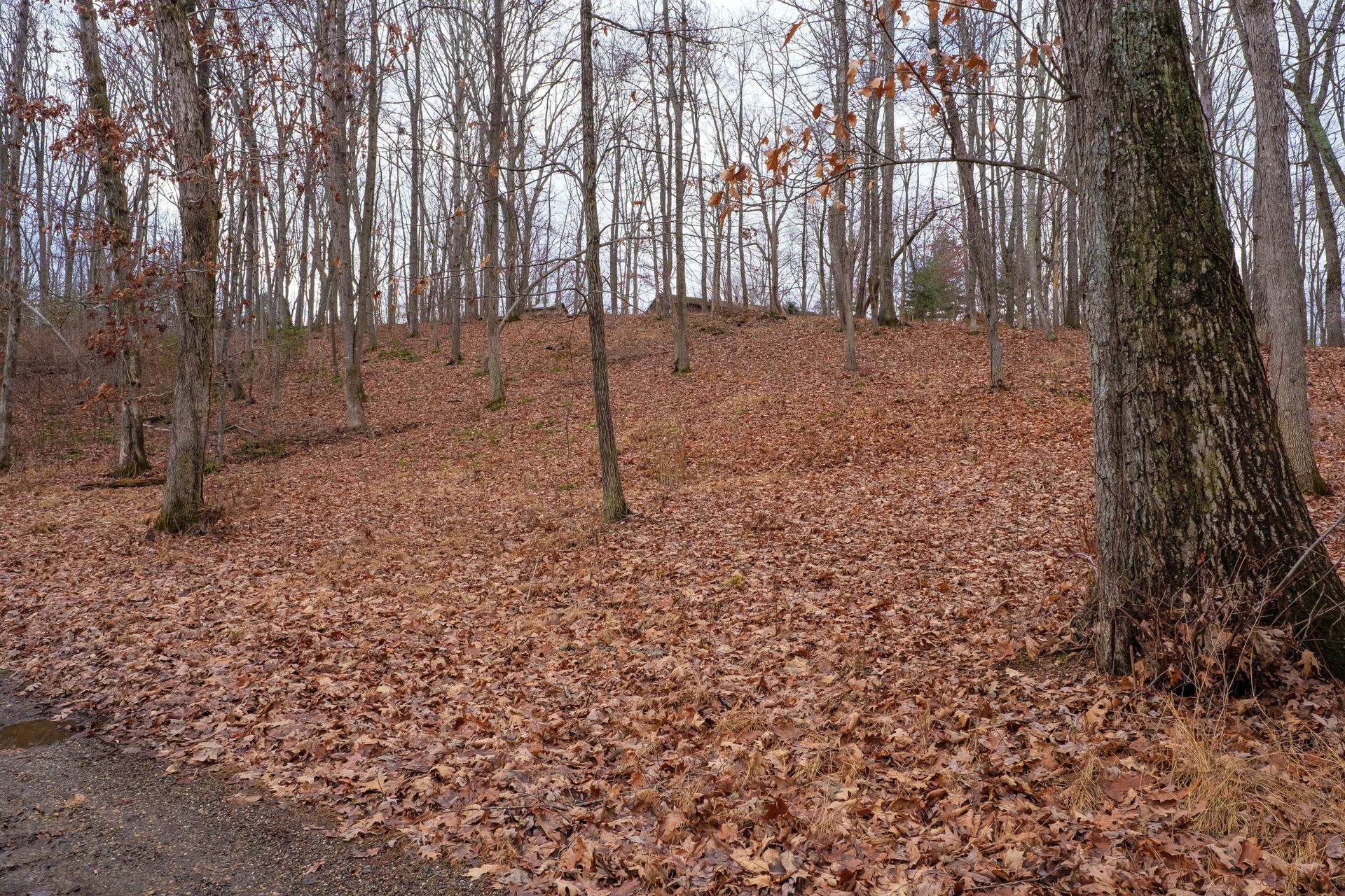 TBD HORSESHOE HOLLOW, GREENVILLE, Virginia 24440, ,Land,TBD HORSESHOE HOLLOW,669876 MLS # 669876